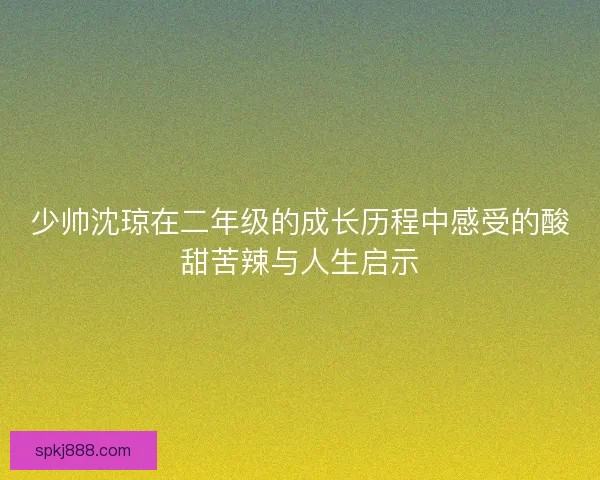 少帅沈琼在二年级的成长历程中感受的酸甜苦辣与人生启示